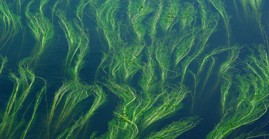 Prozessse optimieren